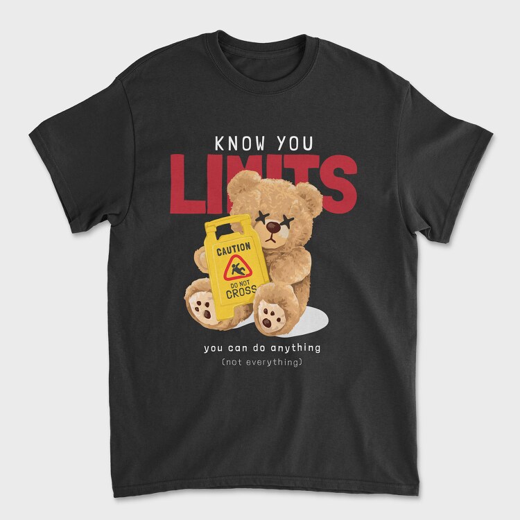 You Can Do Anything Teddy, Tricou Barbati (Unisex)