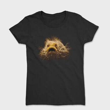 Hairyfish, Tricou Femei