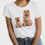 Chowchow, Tricou Femei